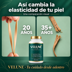 VELUNE LABS® | Péptidos de elastina para una piel más firme